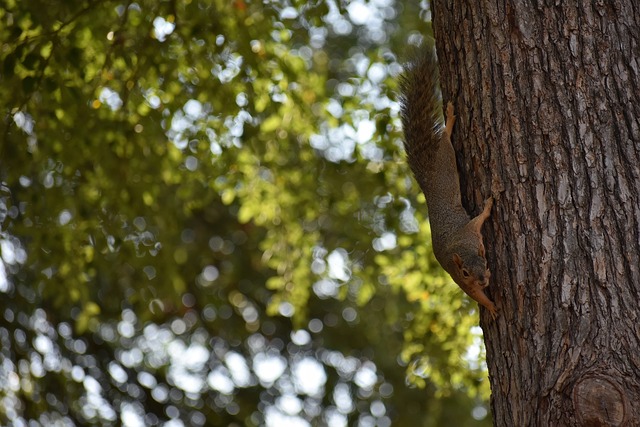 仅展现了切 仅展现了切