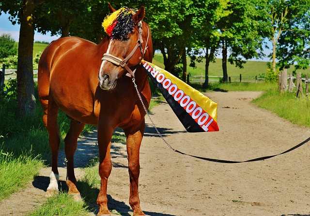 场的枢纽 场的枢纽