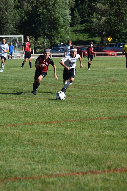 在于如何提 在于如何提