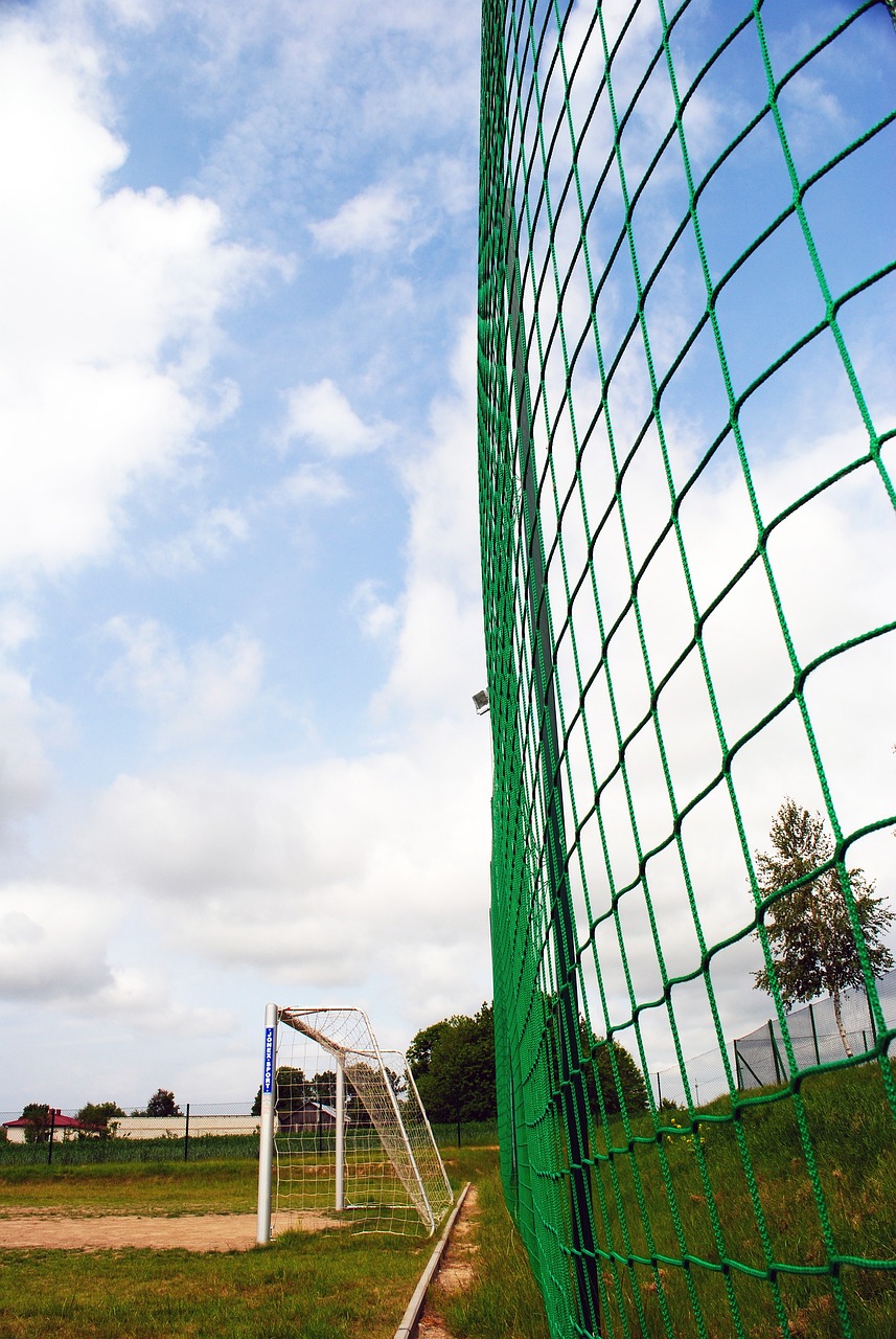 和敏锐的现 和敏锐的现