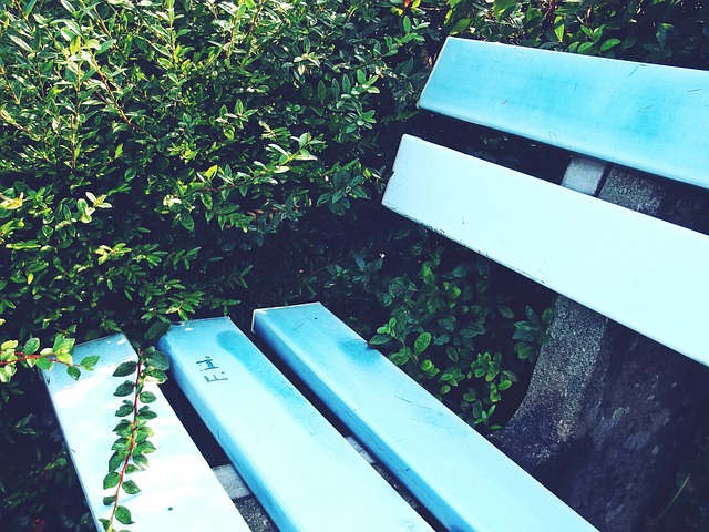 从神五到神 从神五到神