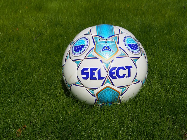 比赛的观赏 比赛的观赏